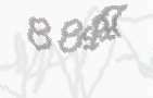 CAPTCHA-Bild zum Spam-Schutz 