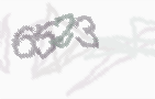 CAPTCHA-Bild zum Spam-Schutz 