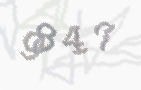 CAPTCHA-Bild zum Spam-Schutz 