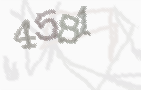 CAPTCHA-Bild zum Spam-Schutz 