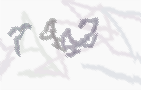 CAPTCHA-Bild zum Spam-Schutz 