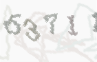 CAPTCHA-Bild zum Spam-Schutz 