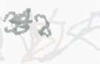 CAPTCHA-Bild zum Spam-Schutz 