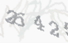 CAPTCHA-Bild zum Spam-Schutz 