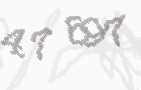 CAPTCHA-Bild zum Spam-Schutz 