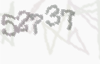 CAPTCHA-Bild zum Spam-Schutz 