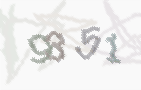 CAPTCHA-Bild zum Spam-Schutz 