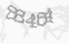 CAPTCHA-Bild zum Spam-Schutz 