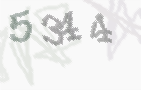 CAPTCHA-Bild zum Spam-Schutz 