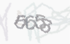 CAPTCHA-Bild zum Spam-Schutz 