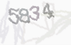 CAPTCHA-Bild zum Spam-Schutz 