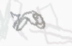 CAPTCHA-Bild zum Spam-Schutz 