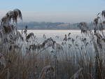 Eis auf dem Waginger See im Januar 2009
